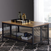 Metal and Mesh Coffee Table