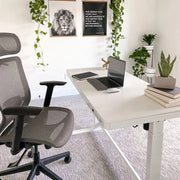 Comhar Standing Desk with Drawers